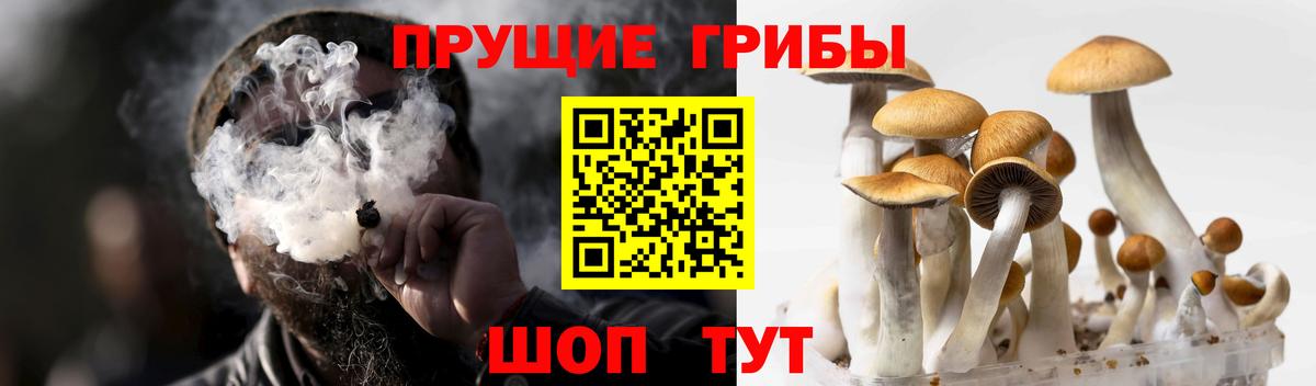 Галлюциногенные грибы мухоморы Борзя